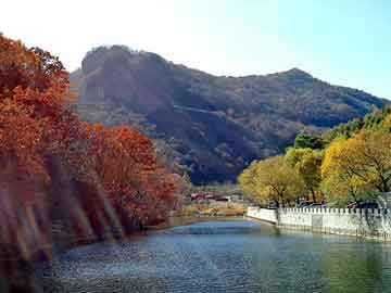 新澳天天开奖资料大全旅游团，卡通雕塑